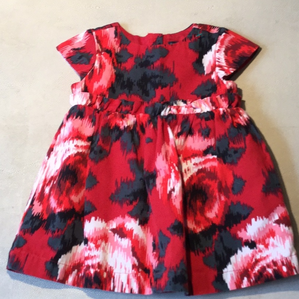 Baby Gap Dress